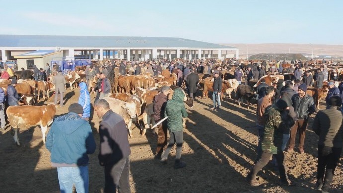 Kars'ta salgın nedeniyle hayvan pazarı kapatıldı